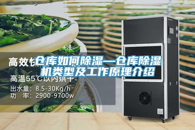 倉庫如何除濕—倉庫除濕機類型及工作原理介紹