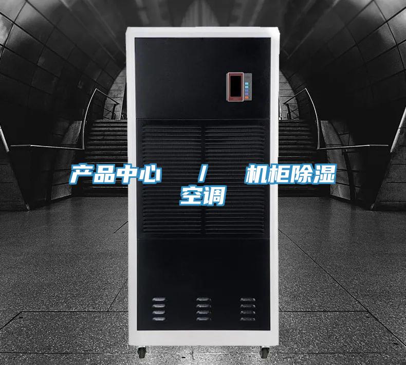 產品中心  ／  機柜除濕空調