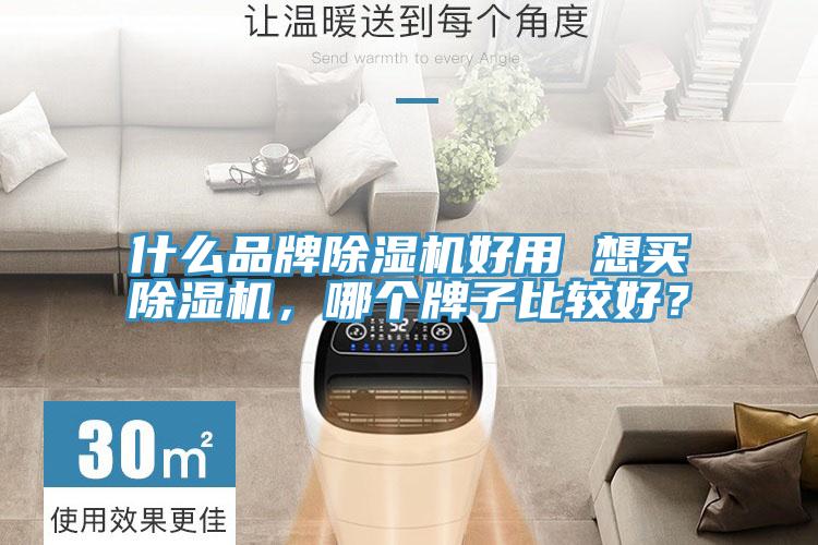 什么品牌除濕機好用 想買除濕機，哪個牌子比較好？