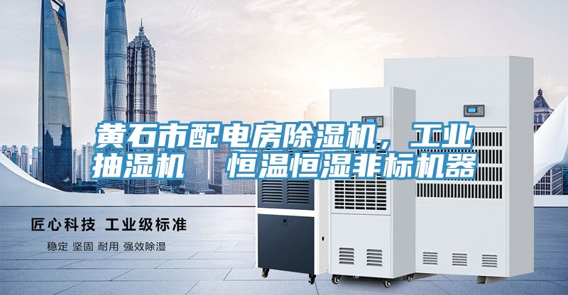 黃石市配電房除濕機,工業(yè)抽濕機 恒溫恒濕非標機器